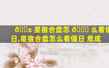 🐱 星宿合盘怎 🐎 么看值日,星宿合盘怎么看值日 危成